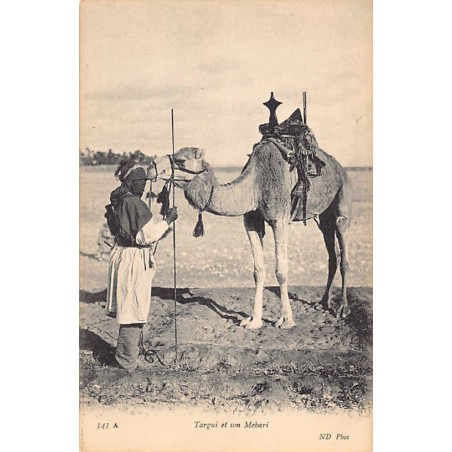 Rare collectable postcards of SAHARA. Vintage Postcards of SAHARA