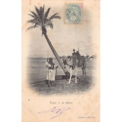 Rare collectable postcards of SAHARA. Vintage Postcards of SAHARA
