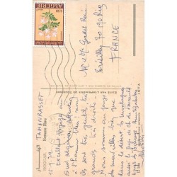 Rare collectable postcards of SAHARA. Vintage Postcards of SAHARA