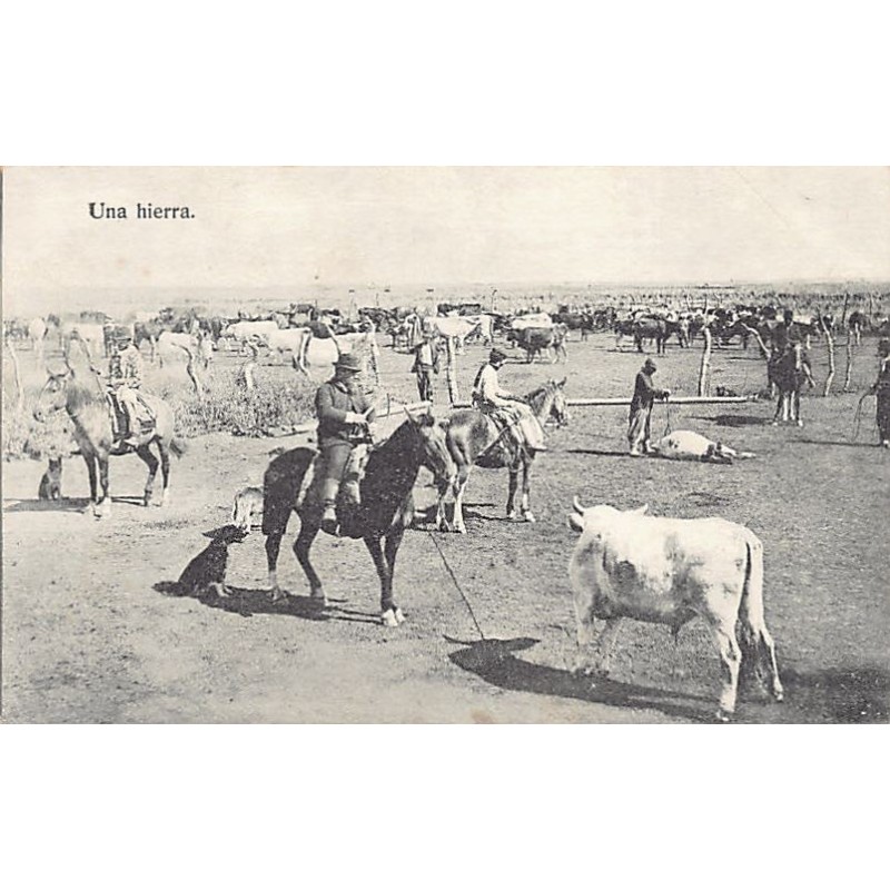 Rare collectable postcards of ARGENTINA. Vintage Postcards of ARGENTINA