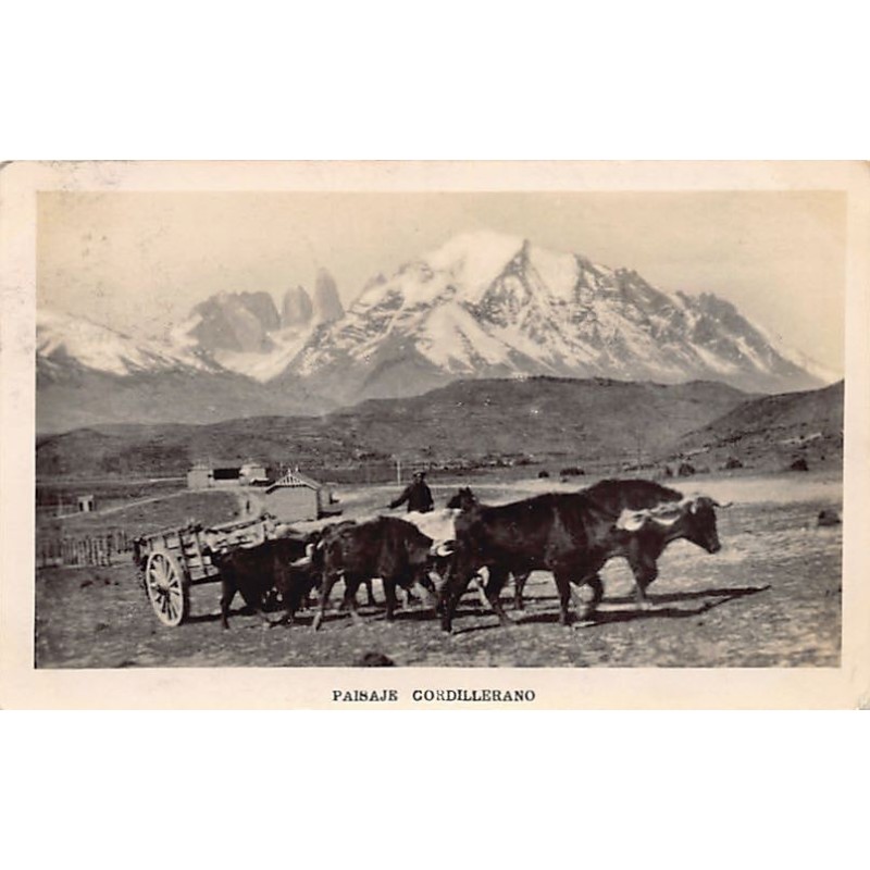 Rare collectable postcards of CHILE CHILI. Vintage Postcards of CHILE CHILI