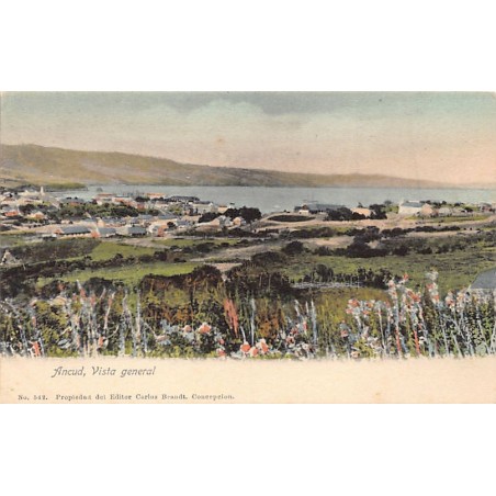 Rare collectable postcards of CHILE CHILI. Vintage Postcards of CHILE CHILI