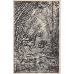 Rare collectable postcards of TRINIDAD & TOBAGO. Vintage Postcards of TRINIDAD & TOBAGO