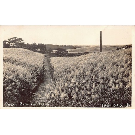 Rare collectable postcards of TRINIDAD & TOBAGO. Vintage Postcards of TRINIDAD & TOBAGO