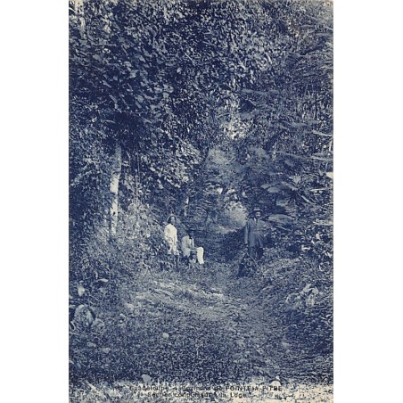 Rare collectable postcards of GUADELOUPE. Vintage Postcards of GUADELOUPE