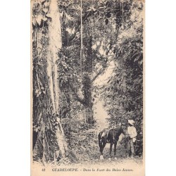 Rare collectable postcards of GUADELOUPE. Vintage Postcards of GUADELOUPE