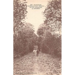 Rare collectable postcards of GUADELOUPE. Vintage Postcards of GUADELOUPE