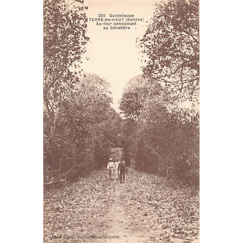 Rare collectable postcards of GUADELOUPE. Vintage Postcards of GUADELOUPE