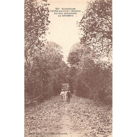 Rare collectable postcards of GUADELOUPE. Vintage Postcards of GUADELOUPE