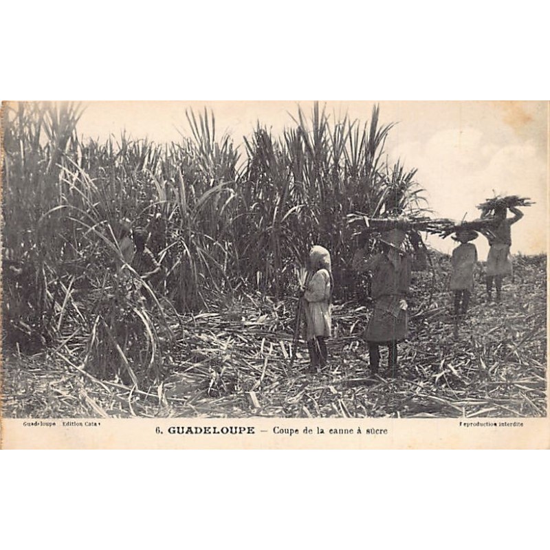 Rare collectable postcards of GUADELOUPE. Vintage Postcards of GUADELOUPE