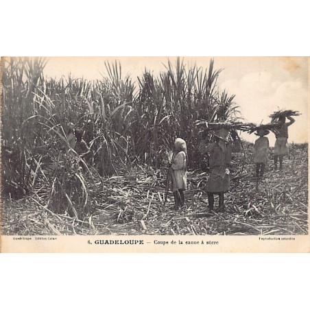 Rare collectable postcards of GUADELOUPE. Vintage Postcards of GUADELOUPE