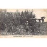 Rare collectable postcards of GUADELOUPE. Vintage Postcards of GUADELOUPE