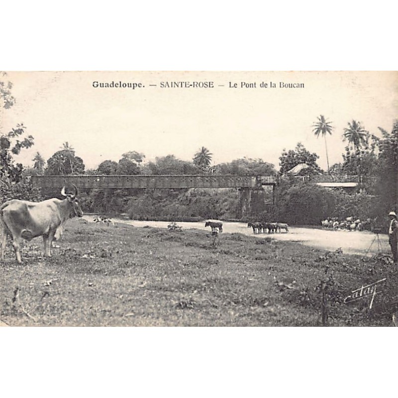 Rare collectable postcards of GUADELOUPE. Vintage Postcards of GUADELOUPE