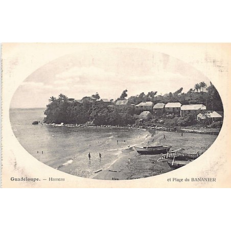 Rare collectable postcards of GUADELOUPE. Vintage Postcards of GUADELOUPE