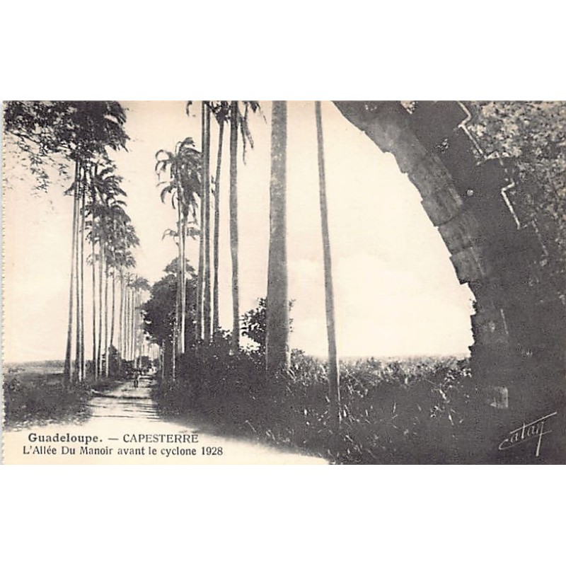 Rare collectable postcards of GUADELOUPE. Vintage Postcards of GUADELOUPE