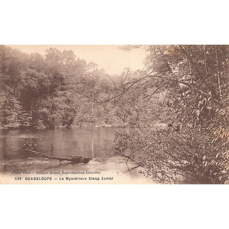 Rare collectable postcards of GUADELOUPE. Vintage Postcards of GUADELOUPE