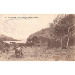 Rare collectable postcards of GUADELOUPE. Vintage Postcards of GUADELOUPE