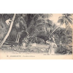 Rare collectable postcards of GUADELOUPE. Vintage Postcards of GUADELOUPE
