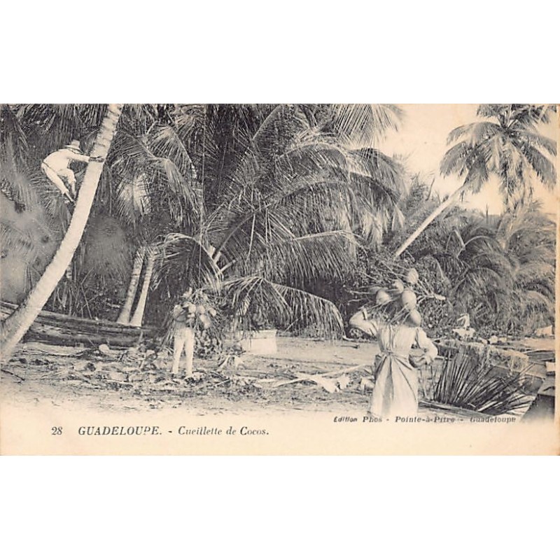 Rare collectable postcards of GUADELOUPE. Vintage Postcards of GUADELOUPE