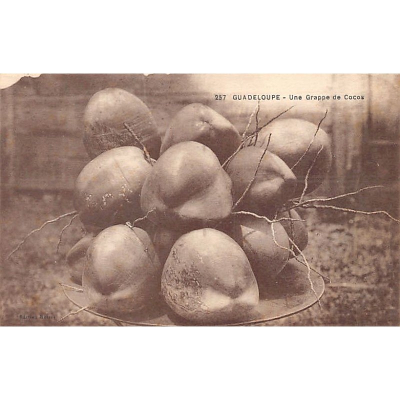 Rare collectable postcards of GUADELOUPE. Vintage Postcards of GUADELOUPE