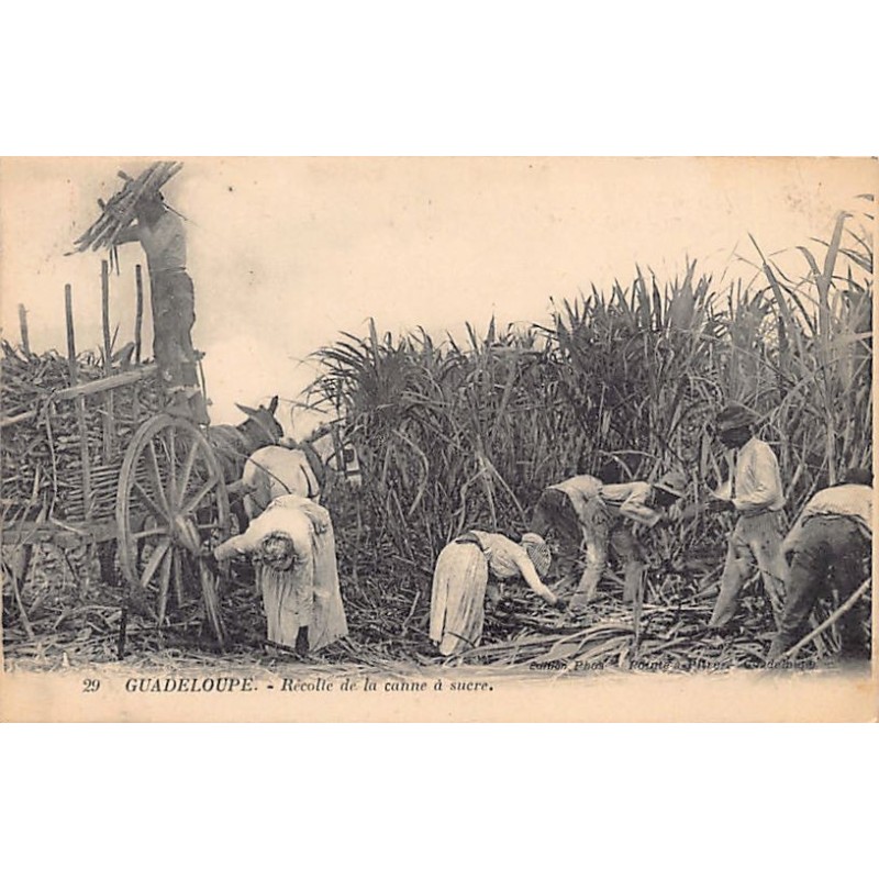 Rare collectable postcards of GUADELOUPE. Vintage Postcards of GUADELOUPE