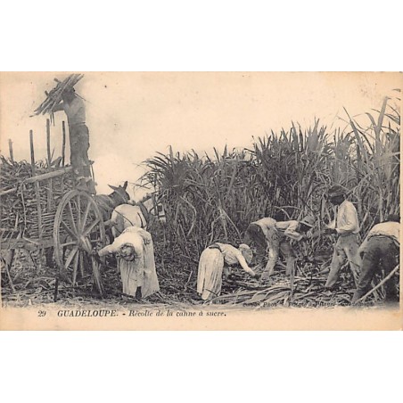 Rare collectable postcards of GUADELOUPE. Vintage Postcards of GUADELOUPE