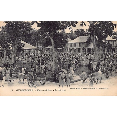 Rare collectable postcards of GUADELOUPE. Vintage Postcards of GUADELOUPE