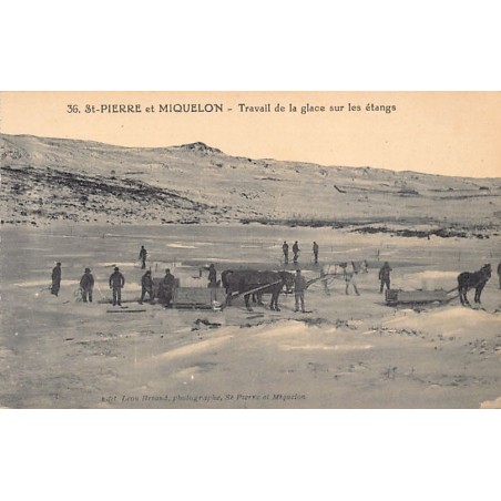 Rare collectable postcards of SAINT-PIERRE & MIQUELON. Vintage Postcards of SAINT-PIERRE & MIQUELON