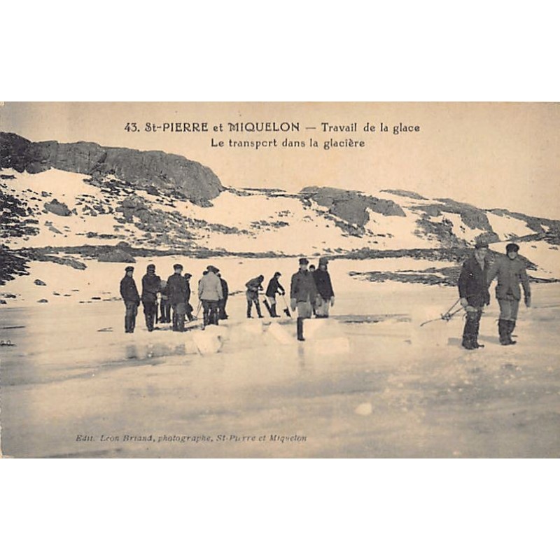 Rare collectable postcards of SAINT-PIERRE & MIQUELON. Vintage Postcards of SAINT-PIERRE & MIQUELON