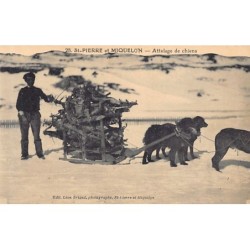 Rare collectable postcards of SAINT-PIERRE & MIQUELON. Vintage Postcards of SAINT-PIERRE & MIQUELON