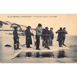 Rare collectable postcards of SAINT-PIERRE & MIQUELON. Vintage Postcards of SAINT-PIERRE & MIQUELON