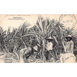 Rare collectable postcards of MARTINIQUE. Vintage Postcards of MARTINIQUE