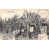 Rare collectable postcards of MARTINIQUE. Vintage Postcards of MARTINIQUE