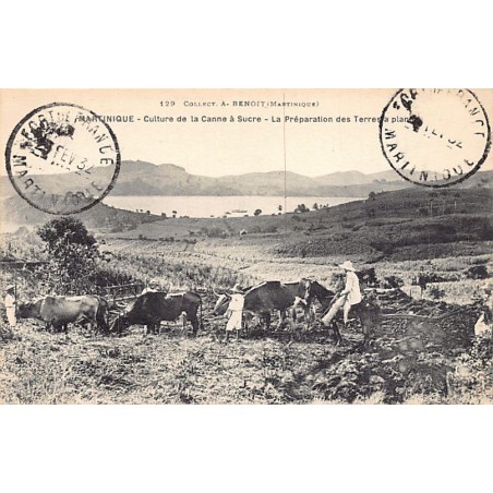 Rare collectable postcards of MARTINIQUE. Vintage Postcards of MARTINIQUE