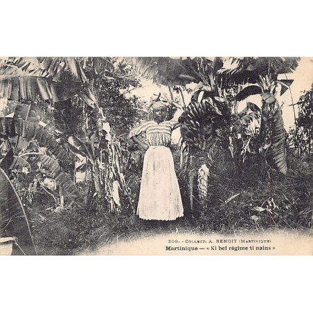 Rare collectable postcards of MARTINIQUE. Vintage Postcards of MARTINIQUE