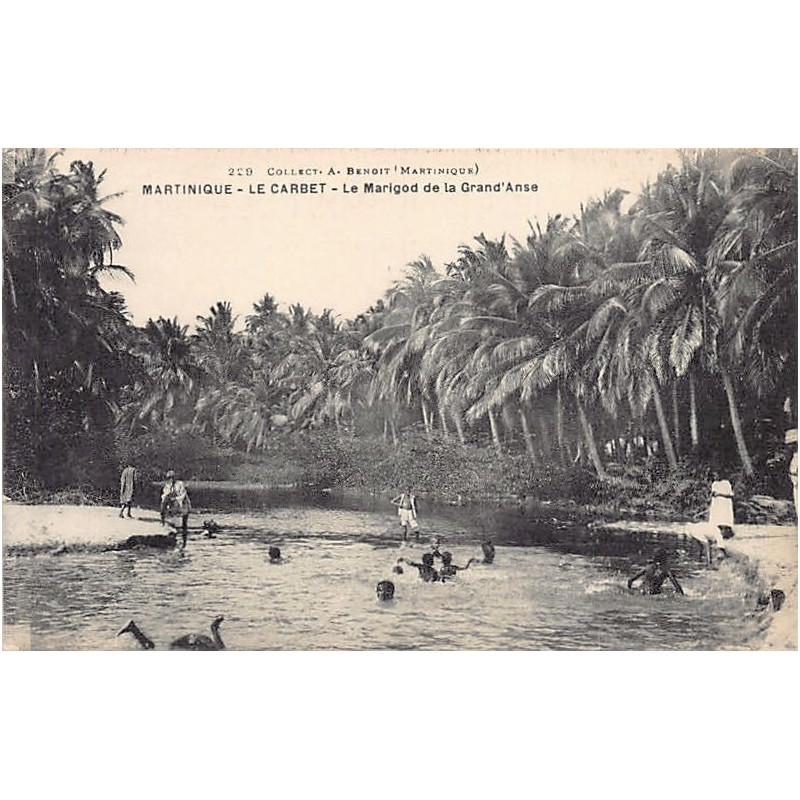 Rare collectable postcards of MARTINIQUE. Vintage Postcards of MARTINIQUE