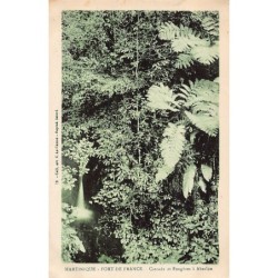 Rare collectable postcards of MARTINIQUE. Vintage Postcards of MARTINIQUE