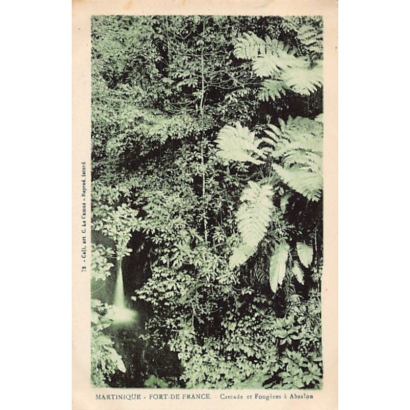 Rare collectable postcards of MARTINIQUE. Vintage Postcards of MARTINIQUE