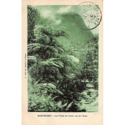 Rare collectable postcards of MARTINIQUE. Vintage Postcards of MARTINIQUE