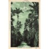 Rare collectable postcards of MARTINIQUE. Vintage Postcards of MARTINIQUE