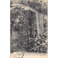 Rare collectable postcards of MARTINIQUE. Vintage Postcards of MARTINIQUE