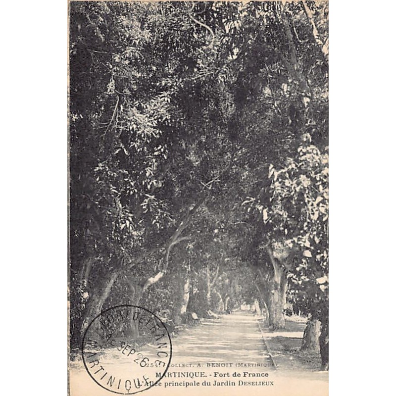 Rare collectable postcards of MARTINIQUE. Vintage Postcards of MARTINIQUE