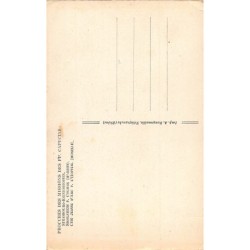 Rare collectable postcards of INDIA. Vintage Postcards of INDIA