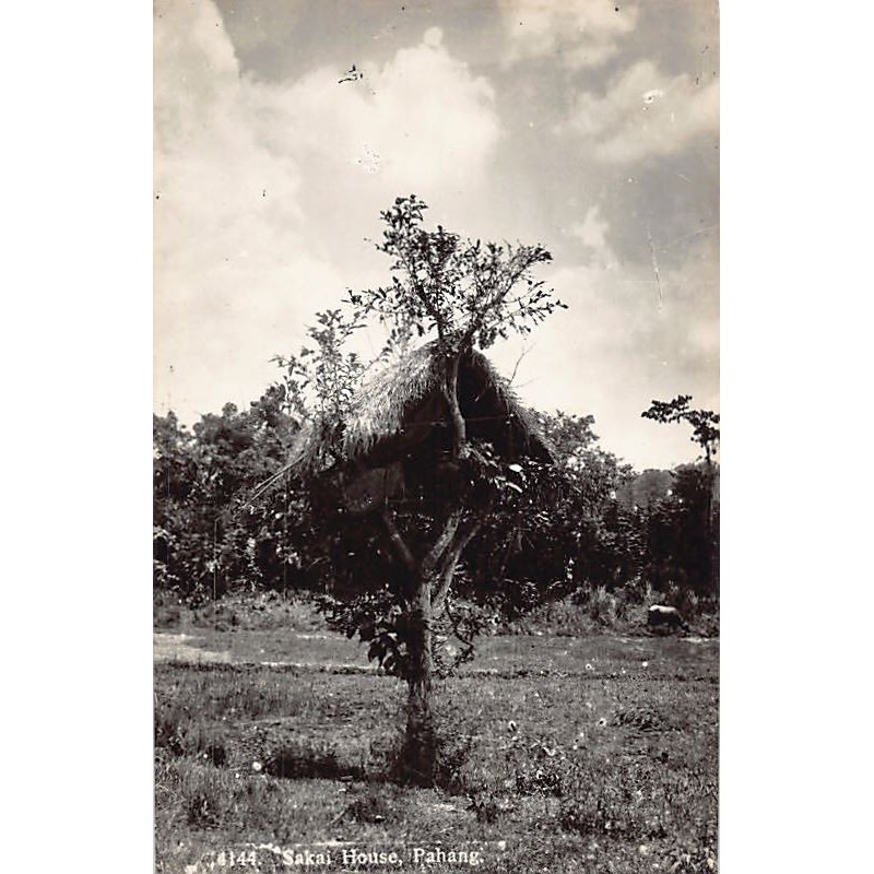 Rare collectable postcards of MALAYSIA. Vintage Postcards of MALAYSIA