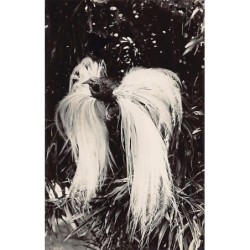 Rare collectable postcards of MALAYSIA. Vintage Postcards of MALAYSIA