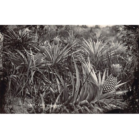 Rare collectable postcards of MALAYSIA. Vintage Postcards of MALAYSIA
