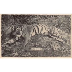 Rare collectable postcards of MALAYSIA. Vintage Postcards of MALAYSIA