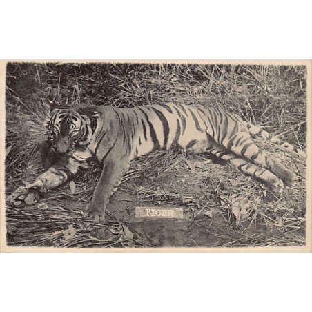 Rare collectable postcards of MALAYSIA. Vintage Postcards of MALAYSIA