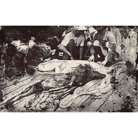 Rare collectable postcards of MALAYSIA. Vintage Postcards of MALAYSIA