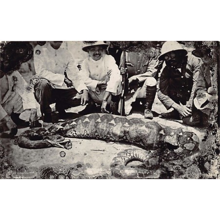 Rare collectable postcards of MALAYSIA. Vintage Postcards of MALAYSIA